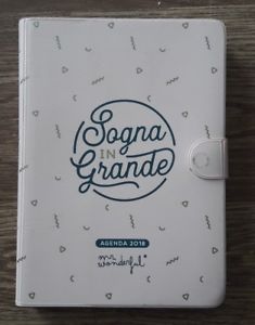 Mr. Wonderful Agenda 2018- 2019 Piccola Giornaliera Sogna In Grande Mr. Wonde