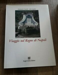 Viaggio Nel Regno Di Napoli A Cura Di Ciarallo E Capaldo