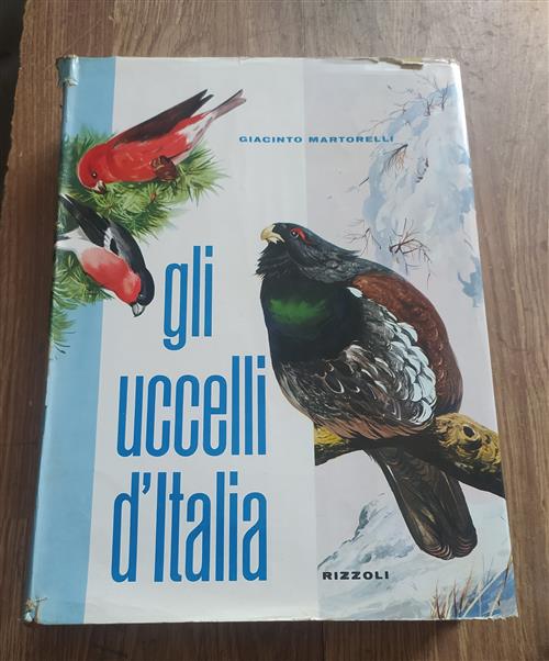 Gli Uccelli D'italia