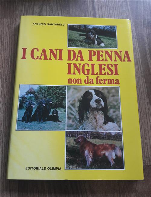 I Cani Da Penna Inglesi Non Da Ferma