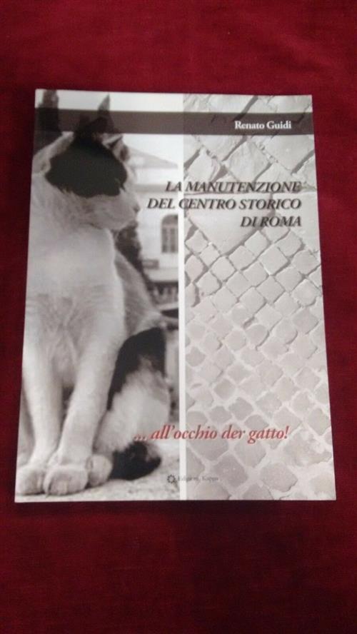 La Manutenzione Del Centro Storico Di Roma...All'occhio Der Gatto