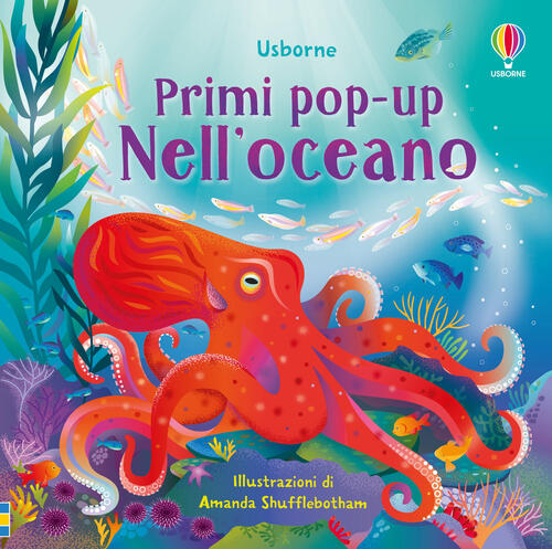 Nell'oceano Lizzie Cope Usborne 2024