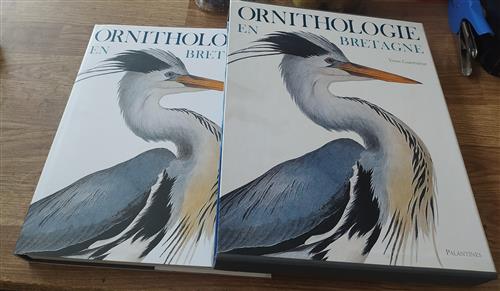 Ornithologie En Bretagne