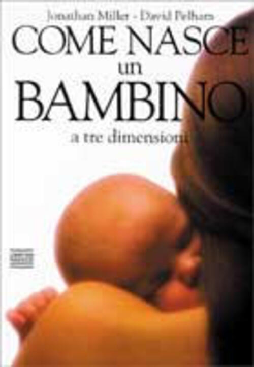 Come Nasce Un Bambino