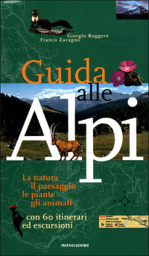 Guida Alle Alpi