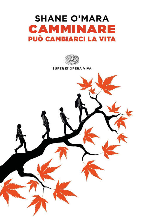 Camminare Puo Cambiarci La Vita