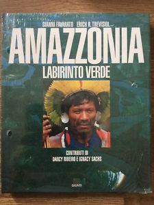 Amazzonia Labirinto Verde