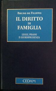 Il Diritto Di Famiglia. Leggi, Prassi E Giurisprudenza