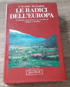 Le Radici Dell'europa. Il Dibattito Ottocentesco Su Comunita Di Villaggio E Familiari