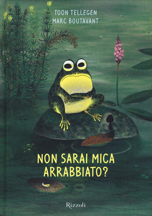 Non Sarai Mica Arrabbiato? Ediz. Illustrata Toon Tellegen Rizzoli 2014