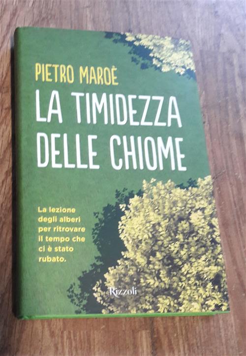 La Timidezza Delle Chiome