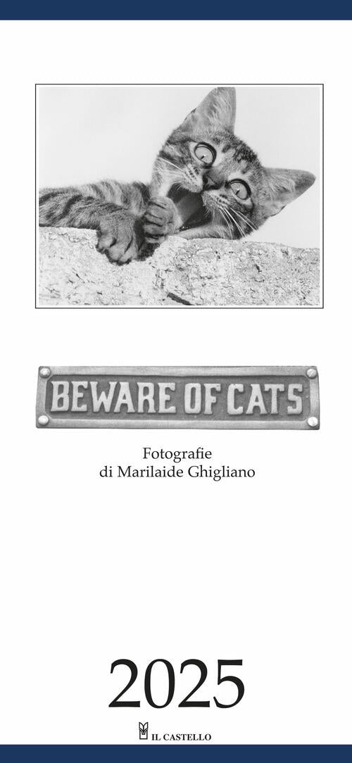 Beware Of Cats. Calendario 2025 Il Castello 2024