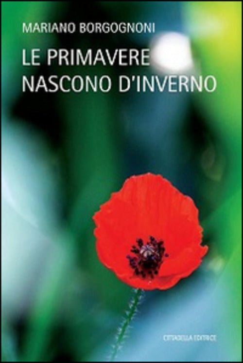 Le Primavere Nascono D'inverno Mariano Borgognoni Cittadella 2016