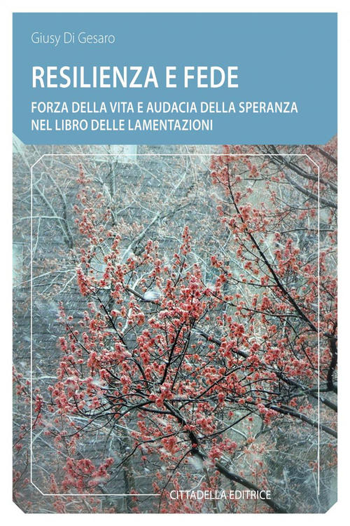 Resilienza E Fede. Forza Della Vita E Audacia Della Speranza Nel Libro Delle L