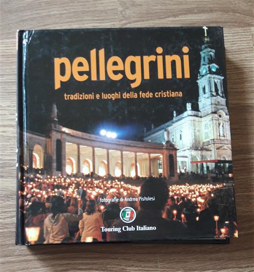 Pellegrini. Tradizioni E Luoghi Della Fede Cristiana. Ediz. Illustrata