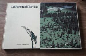 La Foresta Di Tarvisio