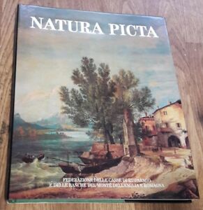 Natura Picta. Paesaggio E Immagini Dell' Emilia Romagna Nelle Arti Figurative,