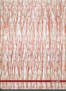 Ghada Amer