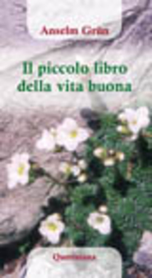 Il Piccolo Libro Della Vita Buona Anselm Grün Queriniana 2007