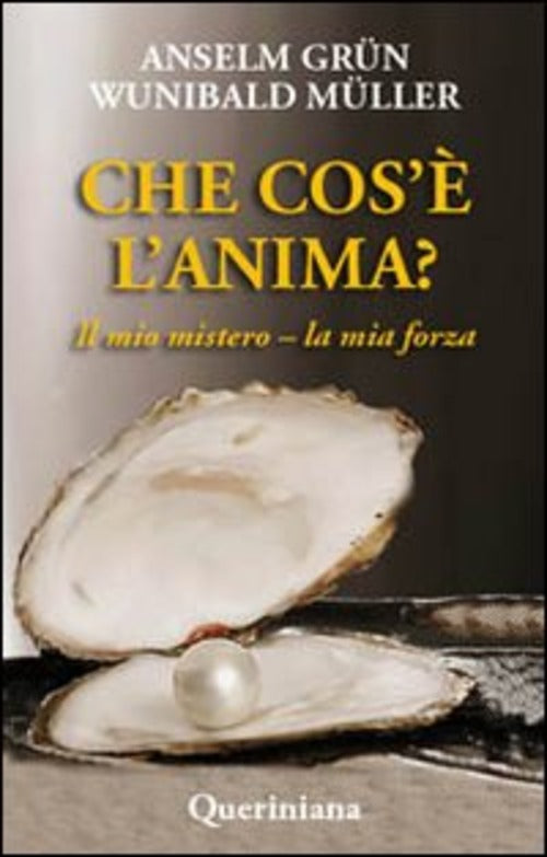 Che Cos'e L'anima? Il Mio Mistero-La Mia Forza Anselm Grün Queriniana 2009