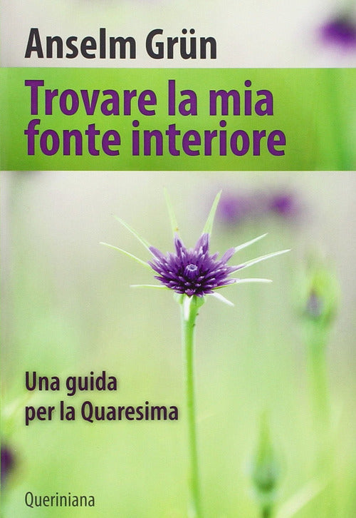 Trovare La Mia Fonte Interiore Anselm Grün Queriniana 2016