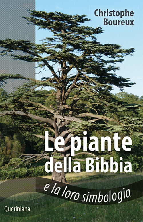 Piante Della Bibbia E La Loro Simbologia Christophe Boureux Queriniana 2017