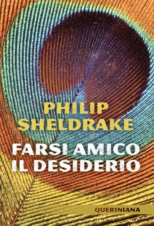 Farsi Amico Il Desiderio. Nuova Ediz. Philip Sheldrake Queriniana 2018