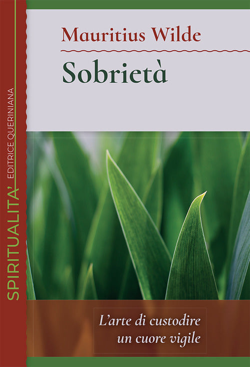 Sobrieta. L'arte Di Custodire Un Cuore Vigile Mauritius Wilde Queriniana 2021