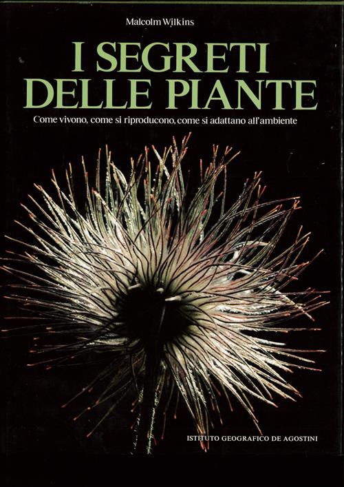 I Segreti Delle Piante