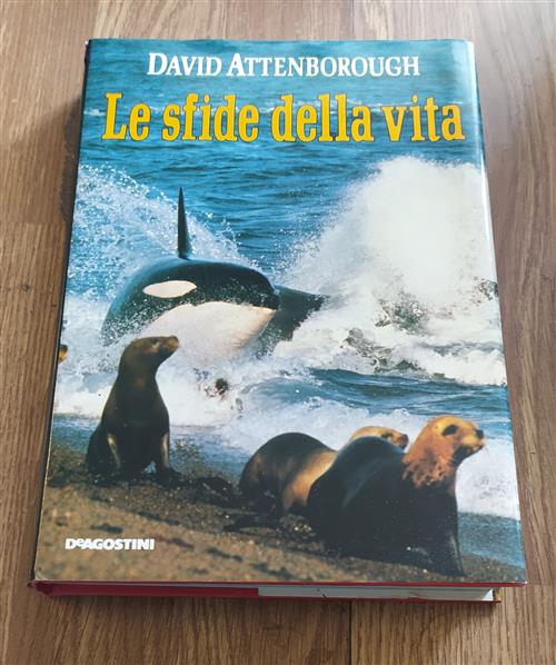 Le Sfide Della Vita