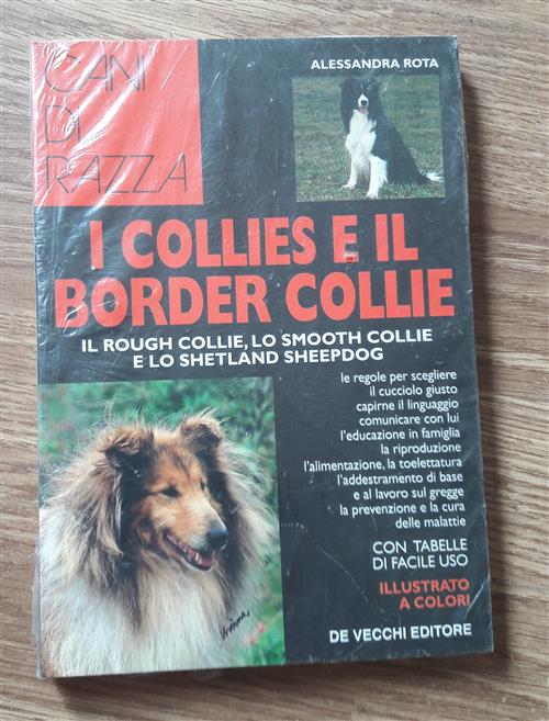 I Collies E Il Border Collie