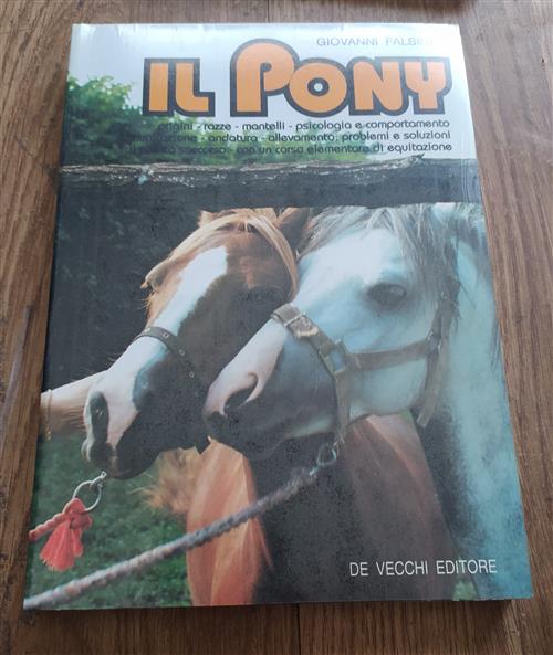 Il Pony