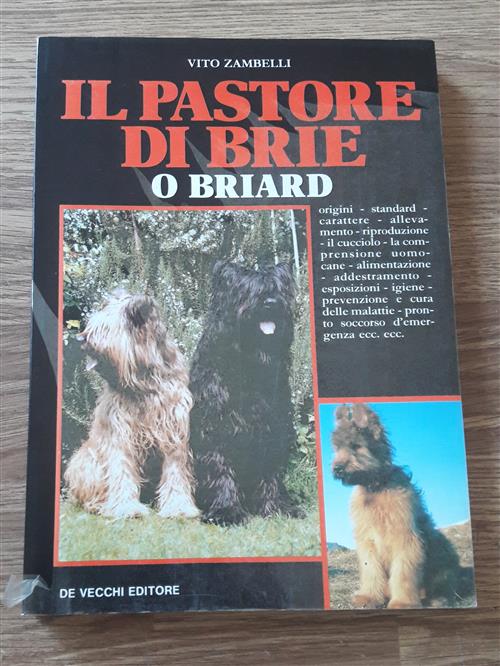 Pastore Di Brie O Briard