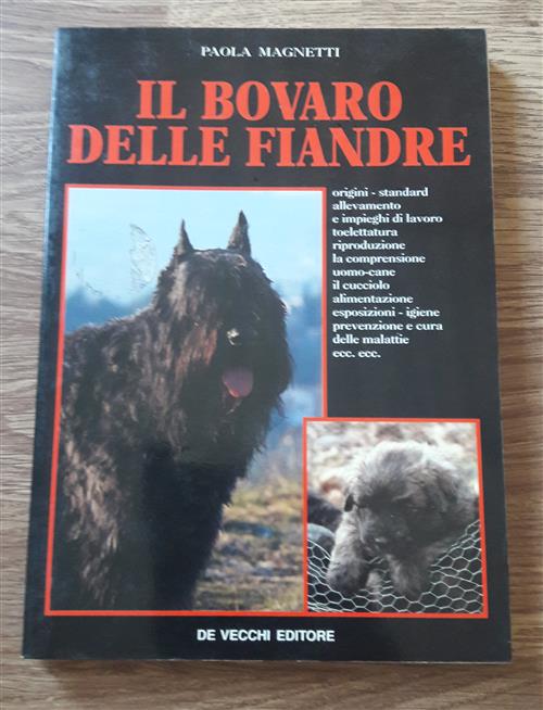 Bovaro Delle Fiandre