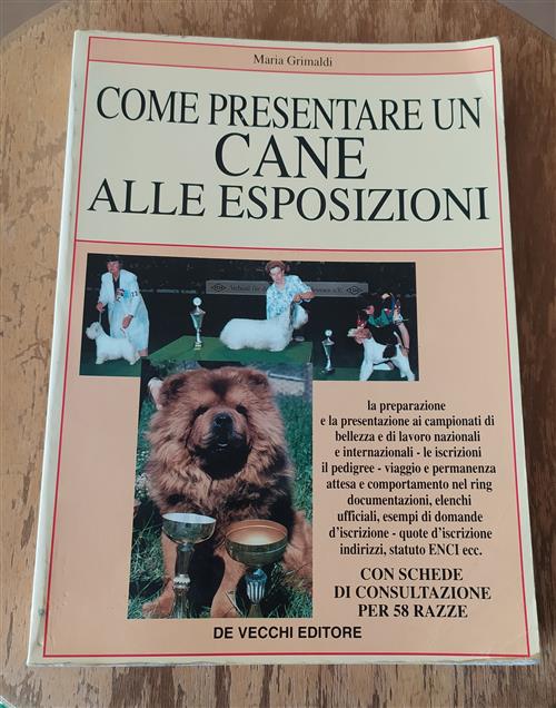 Come Presentare Un Cane Alle Esposizioni