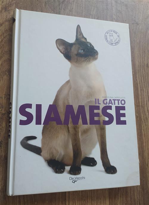 Il Gatto Siamese