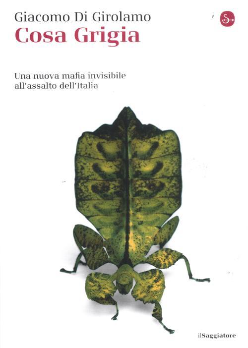 Cosa Grigia. Una Nuova Mafia Invisibile All'assalto Dell'italia