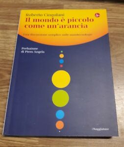 Il Mondo È Piccolo Come Un'arancia. Una Discussione Semplice Sulle Nanotecnologie