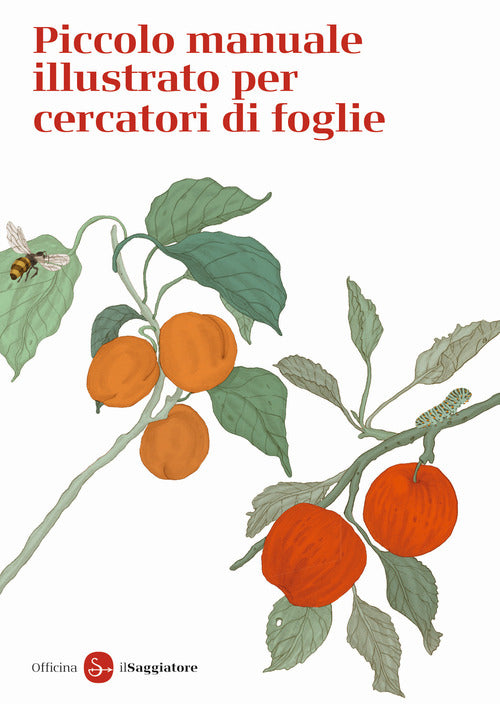 Piccolo Manuale Illustrato Per Cercatori Di Foglie. Ediz. A Colori Giuseppe Za