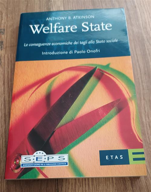 Welfare State. Le Conseguenze Economiche Dei Tagli Allo Stato Sociale