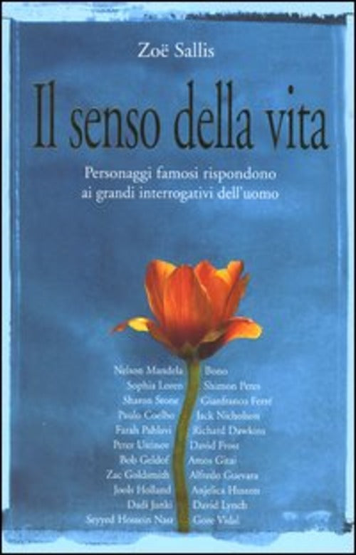 Il Senso Della Vita