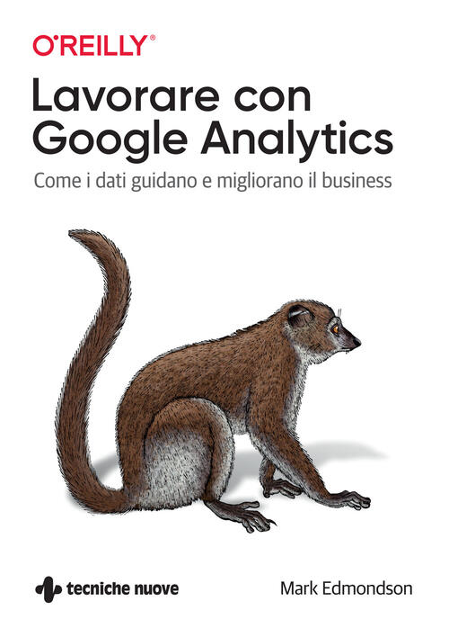 Lavorare Con Google Analytics. Come I Dati Guidano E Migliorano Il Business