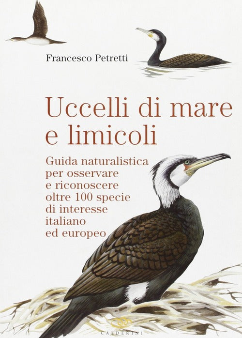 Uccelli Di Mare E Limicoli