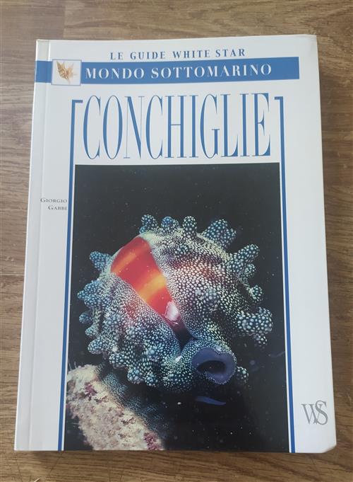 Conchiglie