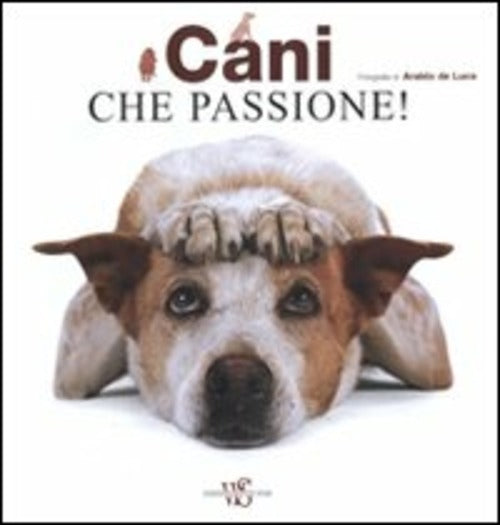 Cani Che Passione!