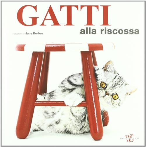 Gatti Alla Riscossa