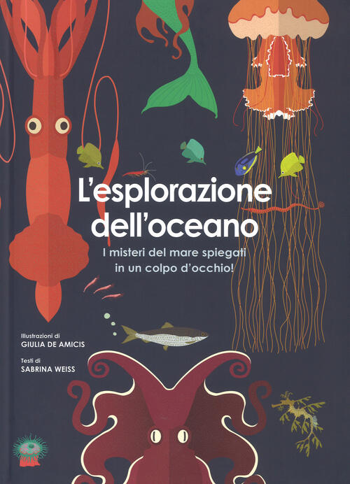 L'esplorazione Dell'oceano. I Misteri Del Mare Spiegati In Un Colpo D'occhio!