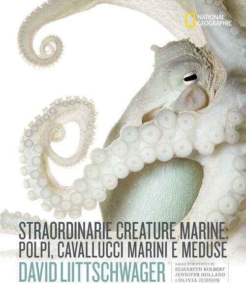 Straordinarie Creature Marine: Polpi, Cavallucci Marini E Meduse David Liittsc