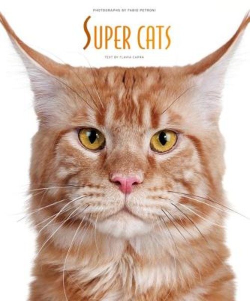 Super Cats