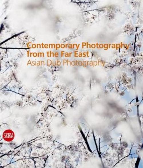 Contemporary Photography From The Far East: Asian Dub Photography